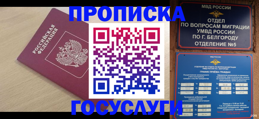 прописка законно в Алтайском крае